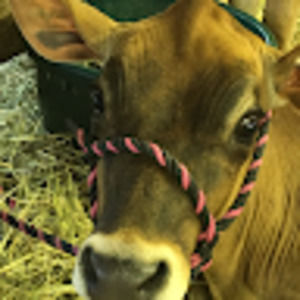 Meet your Posher, Leanna